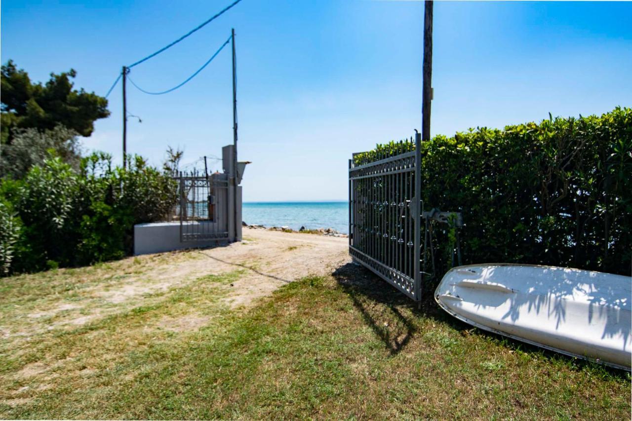 Clio Beach House By Travel Pro Services - Metochi Halkidiki Sozópolis Exterior foto