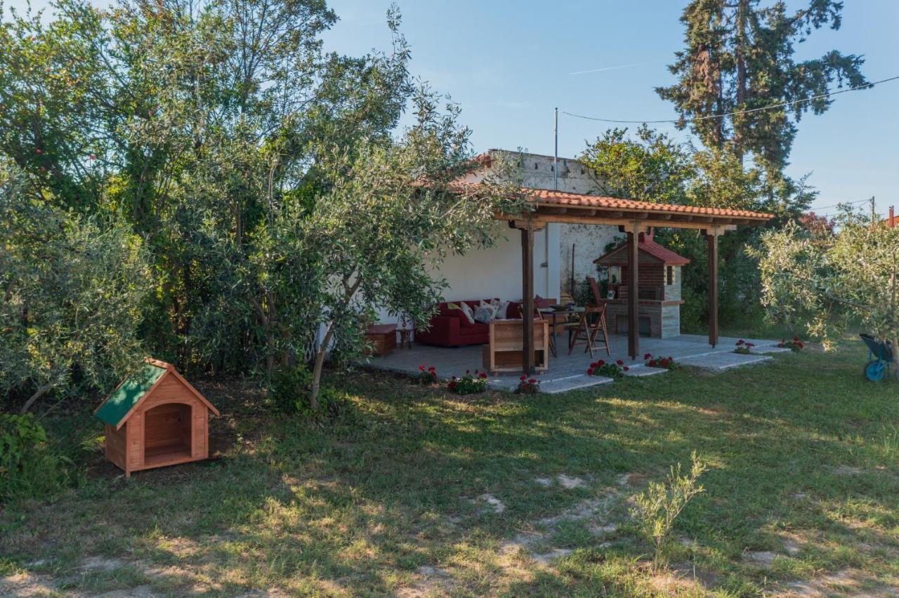 Clio Beach House By Travel Pro Services - Metochi Halkidiki Sozópolis Exterior foto